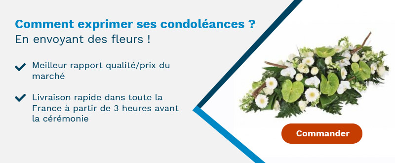 photo de fleurs